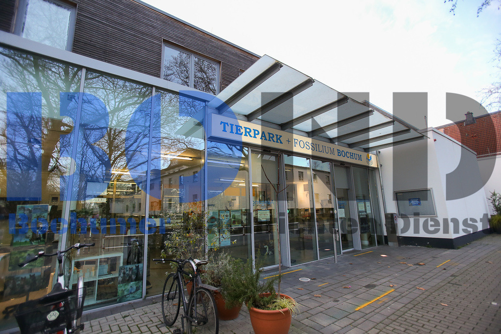  10.12.2020 - 
 | Sebastian Sendlak / Bochumer Nachrichtendienst (BOND) - Bochum Allgemein - Tierpark und Fossilium - Realisiert mit Pictrs.com