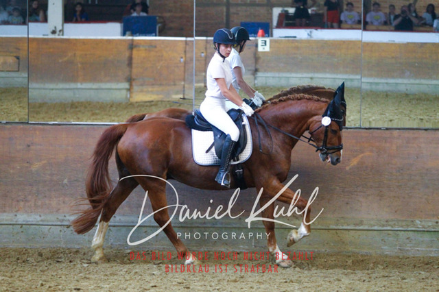 DKP44407 | Turniersportfotografie; Pferdefotografie; Dressurfotografie