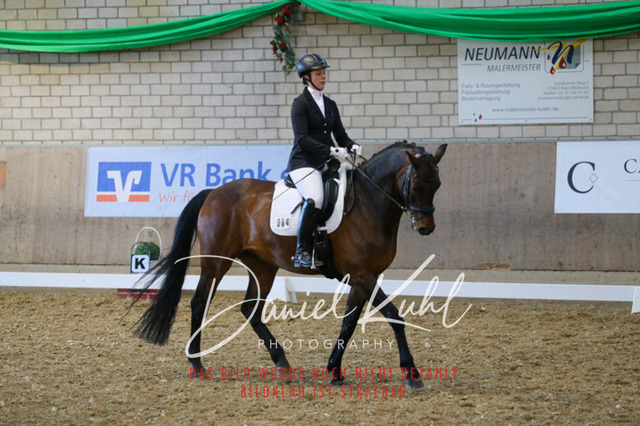 IMG_2875 | Turnierfotos kaufen im Webshop von Daniel Kuhl Photography – entdecke professionelle Reitsportfotos aus Turnieren & Events. Hochwertige Turnierbilder online bestellen & sichern. Jetzt Fotos von Reitsportturnieren kaufen!