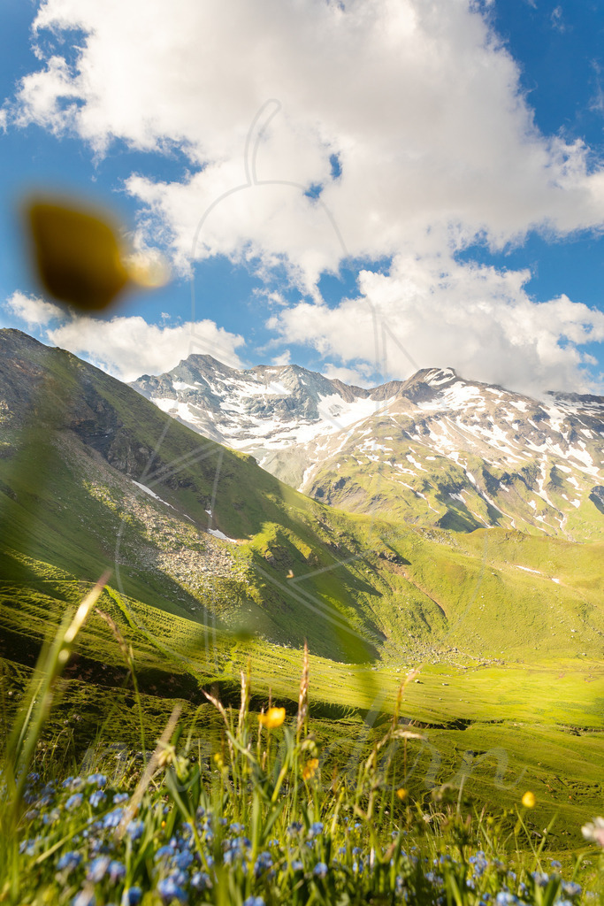 Großglockner Hochalpenstrasse | Ihre Fotografin im Lungau, ihre Fotografin im Mostviertel, Wandbilder Onlineshop, Imagefotos für Ihr Unternehmen,  - Realisiert mit Pictrs.com