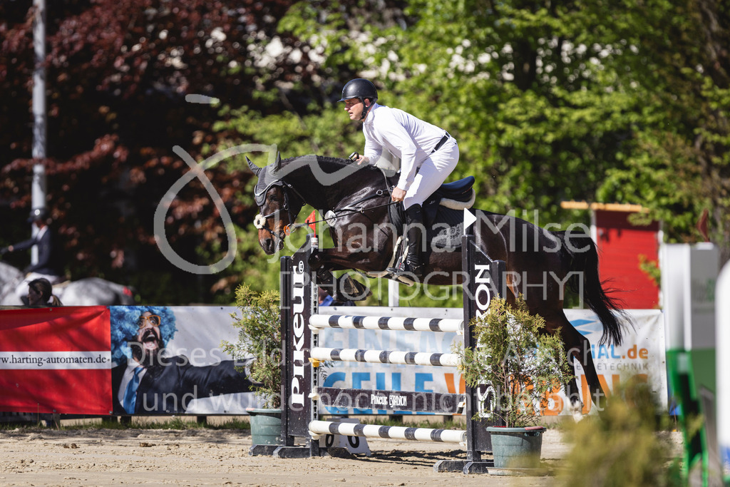 260501_Spenge_5_SprPf-L-518 | Deine schönsten Turniermomente als professionelle Fotos! Entdecke hochwertige Pferdesport-Fotografie im Online-Shop. Jetzt Fotos finden & bestellen!