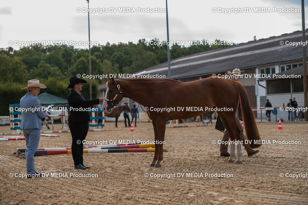 EWP_5553 | dv-media-shop - Realisiert mit Pictrs.com