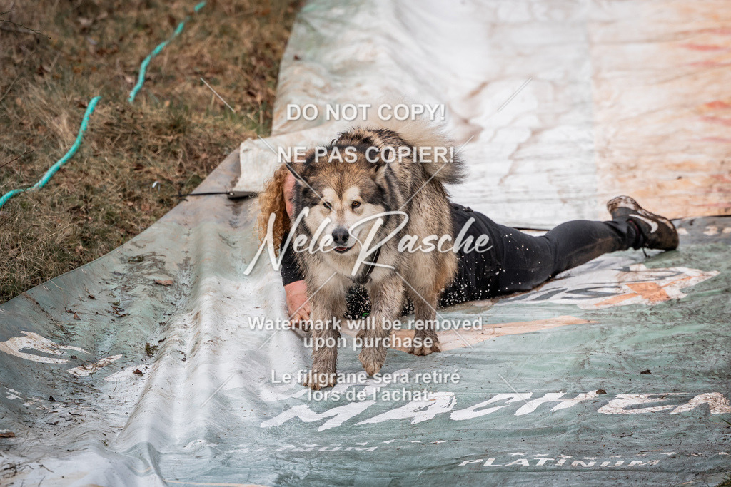 nelerasche_1330-1400_73 | nelerasche