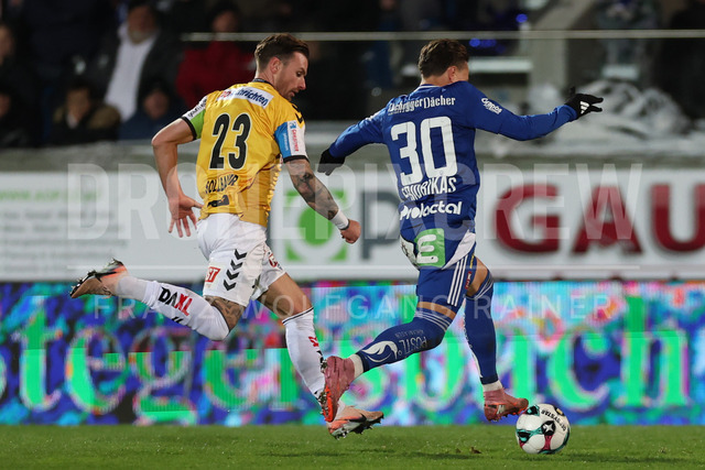 TSV Egger Glas Hartberg vs SV Oberbank Ried – Austrian Bundesliga Match | The image shows Michael Sollbauer (Ried) and Lukas Fridrikas (Hartberg) with ball, at the Bundesliga match TSV Hartberg vs SV Ried at Profertil Arena Hartberg. 22.11.2025