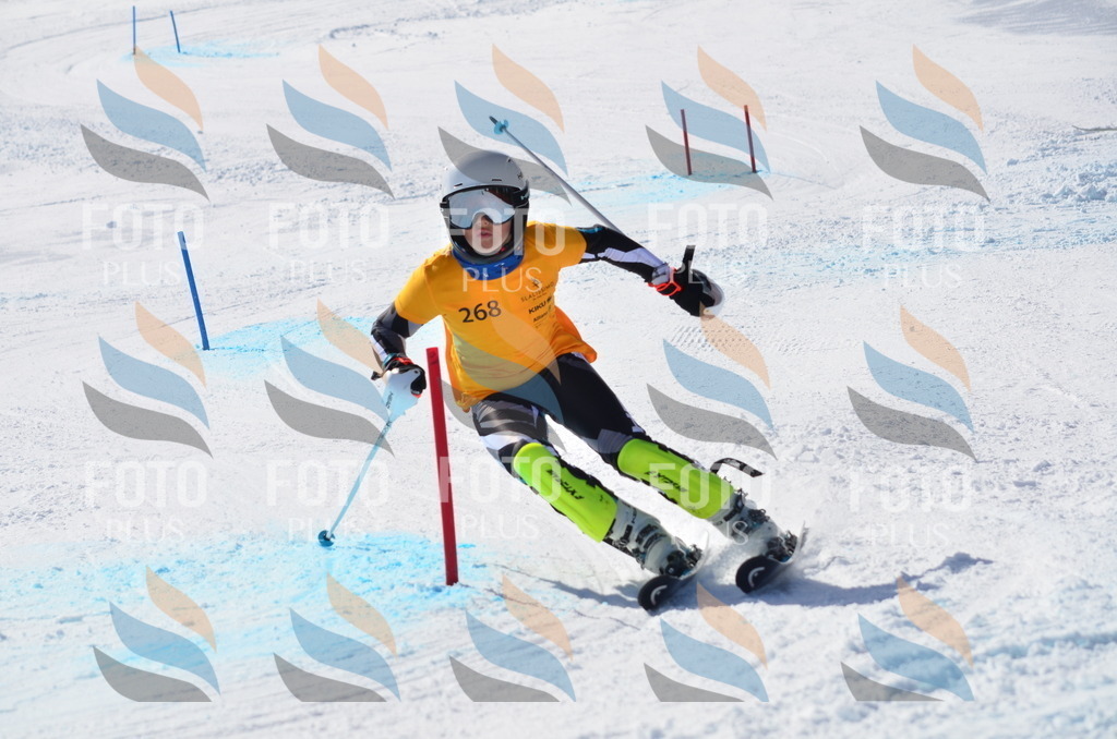 C8572 | holidayphoto