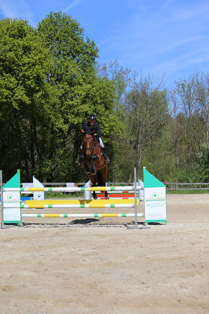 DL2Q3149 | Willkommen bei Brunnmayr - Design & Fotografie – Ihrem Spezialisten für Reitturniere und Pferdeveranstaltungen in Oberösterreich, Salzburg und Bayern! Seit über 17 Jahren sind wir leidenschaftlich dabei.