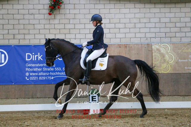 IMG_2684 | Turnierfotos kaufen im Webshop von Daniel Kuhl Photography – entdecke professionelle Reitsportfotos aus Turnieren & Events. Hochwertige Turnierbilder online bestellen & sichern. Jetzt Fotos von Reitsportturnieren kaufen!