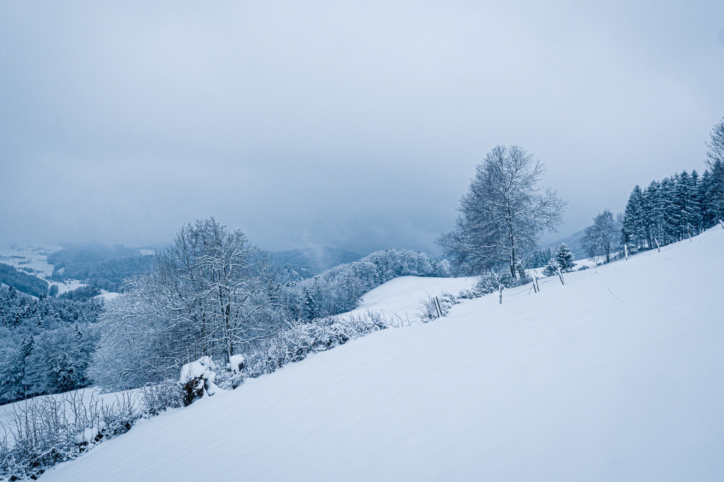 Winterliche Stimmung am Morgen auf der Challhöchi | Schöne Fotografien aus der Stadt und der Natur zum bestellen oder selber hochladen. Druck auf Foto, Postkarte, Kalender, FineArt Hahnemühle, Alu-Dibond , Akustikbilder zur Absorption von Schall und Lärm etc. - Realisiert mit Pictrs.com