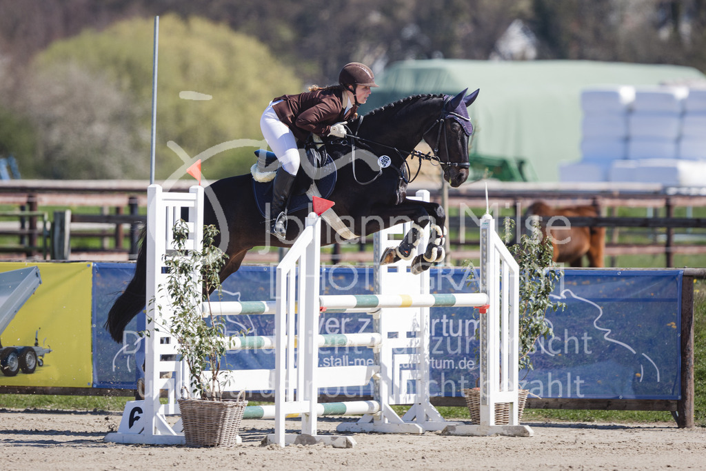 220416_3_A-Springen-321 | Frühlingsfest der Pferde
Herford
16.April 2022
03/1 Sprigprüfung mit steigenden Anforderungen Kl. A** geschlossen 0-43 RLP