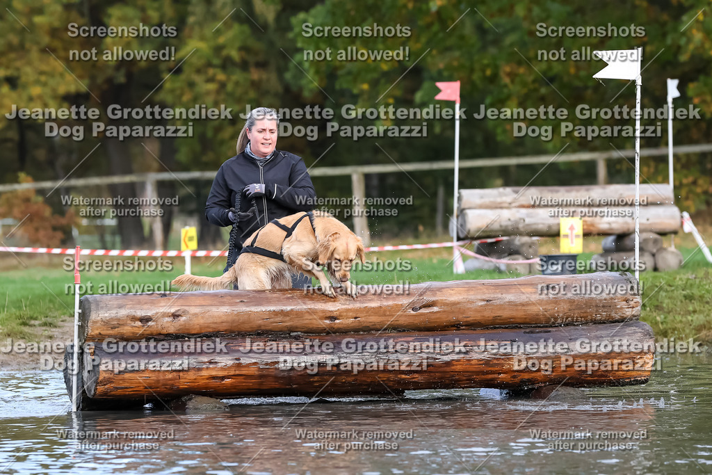 Dog Paparazzi - Strongdog 10-25-6950 | Dog Paparazzi Jeanette Grottendiek Fotografie & Videografie - Realisiert mit Pictrs.com