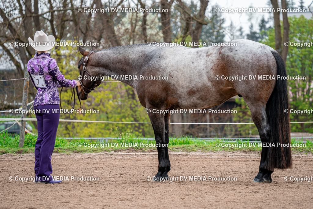 BA300109 | dv-media-shop - Realisiert mit Pictrs.com