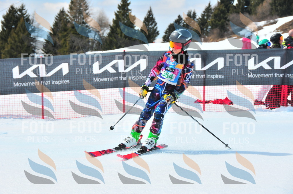 DSC_3266 | holidayphoto