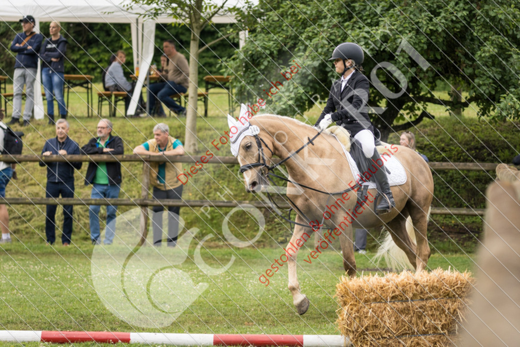 IMG_1799 | Sport-, Event- und Tierfotos in Profiqualität. Einfach auswählen, bestellen und herunterladen. Dein Moment – perfekt festgehalten.
