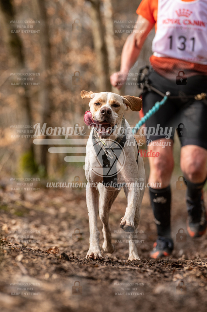 SPA_2023_DIM_Fun-37 | PayLife