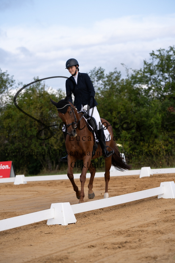 A7V05103 | Pferdefotograf