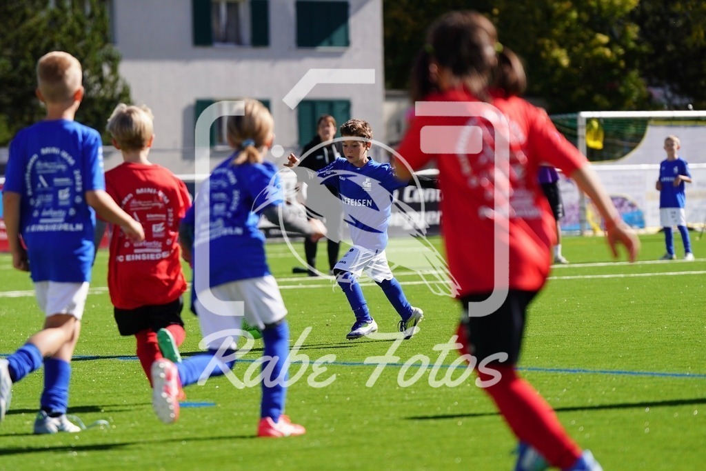 SON07373 | rabefotos