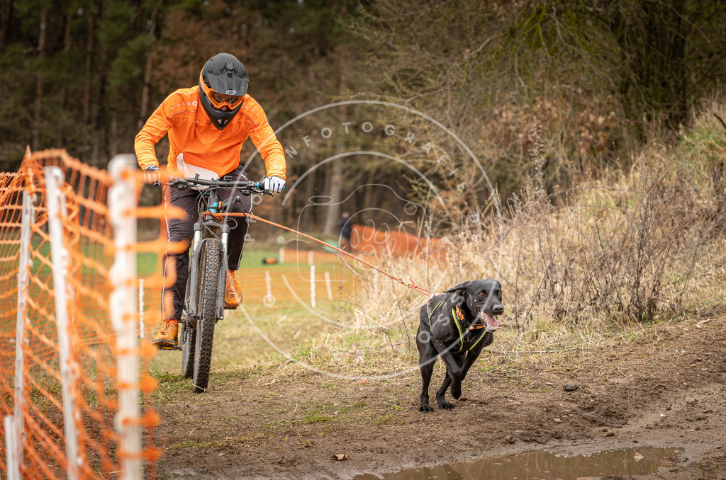 DV3A1688 | Hundefotografie, Tierfotograf, Pfotenfotografie, Fotoshooting Hund, Hunde Portrait, Hundesport, Hundeportraits, Heideshooting, Hunde, Sportfotograf, Hundefotograf, Turnierhundsport, THS,  - Realisiert mit Pictrs.com