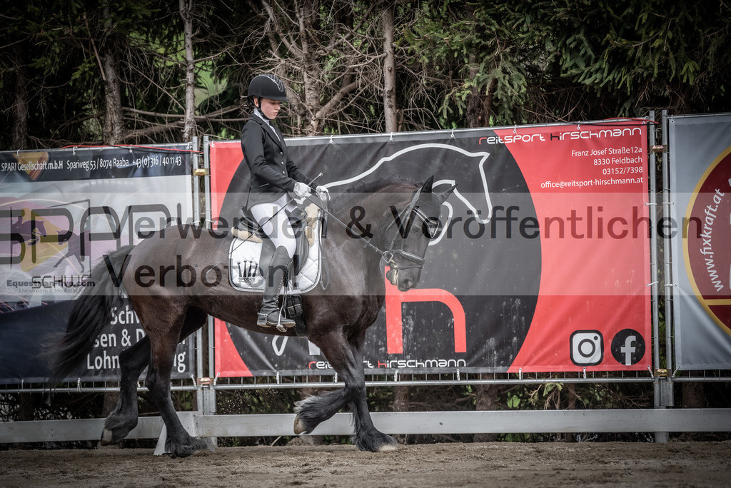 DSC_3124 | equestrian-live-com
