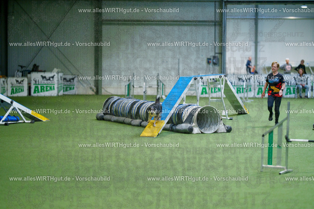 @allesWIRTHgut_Tierfotografie - www.allesWIRTHgut.de - 2604250815-7R505961 | Professionelle Tierfotografie in Mönchengladbach von Daniel Wirth (allesWIRTHgut). Liebevolle & natürliche Bilder von Hunden & Katzen für unvergessliche Erinnerungen.