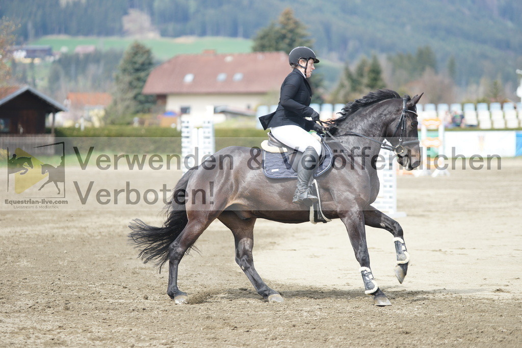 DSC04294 | equestrian-live-com