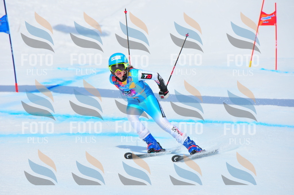 DSC_6030 | holidayphoto