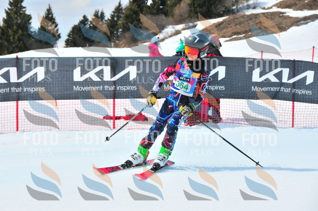 DSC_3265 | holidayphoto