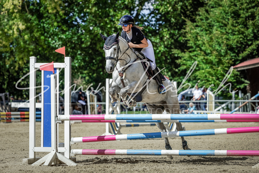 20250906-_3LI6402 | Tierfotografie Pferde, Hunde, Katzen, Haustiere.
Turnierfotografie Reitturniere, Reiten, Springreiten, Dressur in Hanau, dem Main-Kinzig-Kreis und dem Rhein-Main- Gebiet um Frankfurt