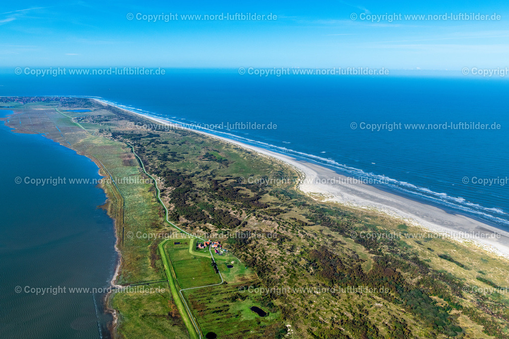 Langeoog_ELS_6217091022 | LANGEOOG 09.10.2022 Sandstrand- Landschaft an der Nordsee in Langeoog im Bundesland Niedersachsen. Weiterführende Informationen bei: Inselgemeinde Langeoog. // Beach landscape on the North Sea in Langeoog in the state Lower Saxony. Further information at: Inselgemeinde Langeoog. Foto: Martin Elsen