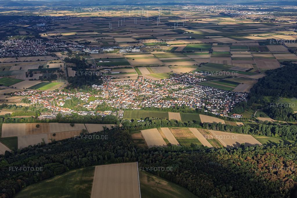 Luftbild: Ortsansicht von Osten in Hördt im Bundesland Rheinland-Pfalz in Deutschland. – Foto: IMG_158325.jpg vom 06.08.2026 durch Werner Riehm/FLY-FOTO.de – Auflösung des Originals: 5842 x 3895 px
