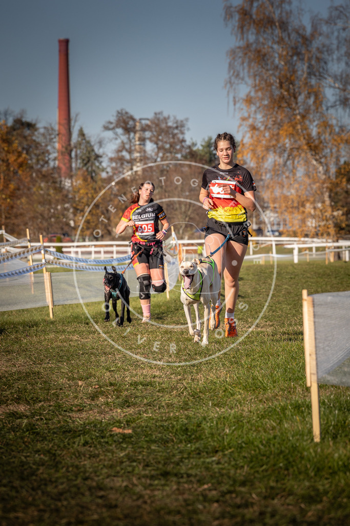 CaniXpix_0L8A8621 | Hundefotografie, Tierfotograf, Pfotenfotografie, Fotoshooting Hund, Hunde Portrait, Hundesport, Hundeportraits, Heideshooting, Hunde, Sportfotograf, Hundefotograf, Turnierhundsport, THS,  - Realisiert mit Pictrs.com