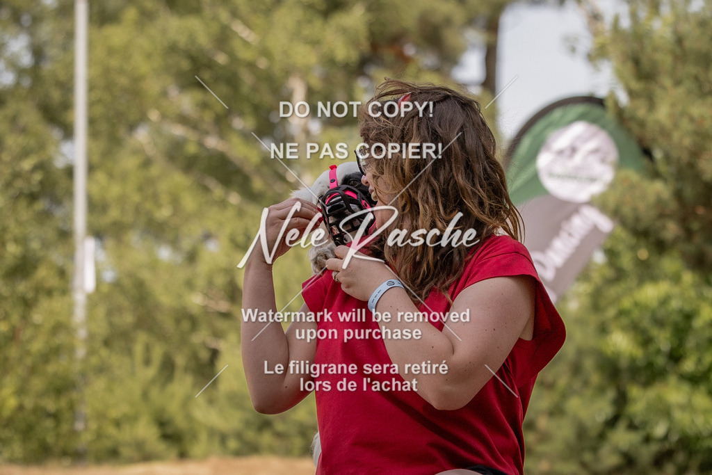 nelerasche_soDD2_404 | nelerasche