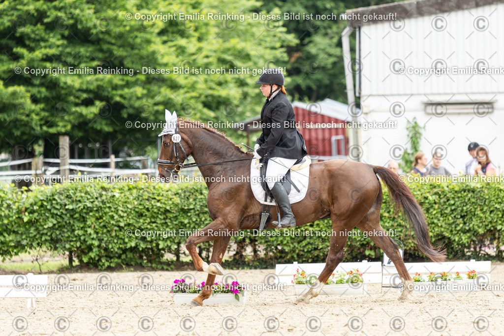 CL5A1776 | Emilia Reinking Fotografie - Realisiert mit Pictrs.com