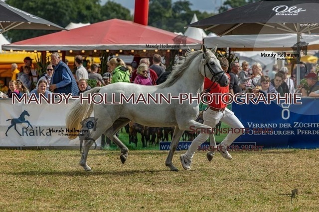 26-8-22 Gemischt-46 | mandyhollmannphotographie