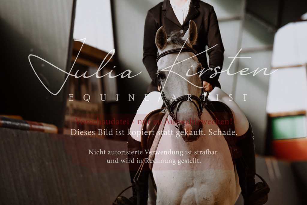 DSC_7418 | Pferde- und Turnierfotografie in Westsachsen. Pferdeportraits, Auftragszeichnungen und intuitive Kunst.