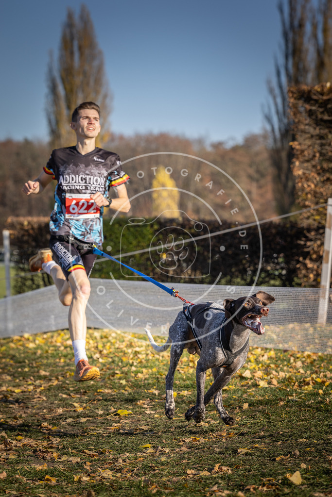 CaniXpix_DV3A9943 | Hundefotografie, Tierfotograf, Pfotenfotografie, Fotoshooting Hund, Hunde Portrait, Hundesport, Hundeportraits, Heideshooting, Hunde, Sportfotograf, Hundefotograf, Turnierhundsport, THS,  - Realisiert mit Pictrs.com