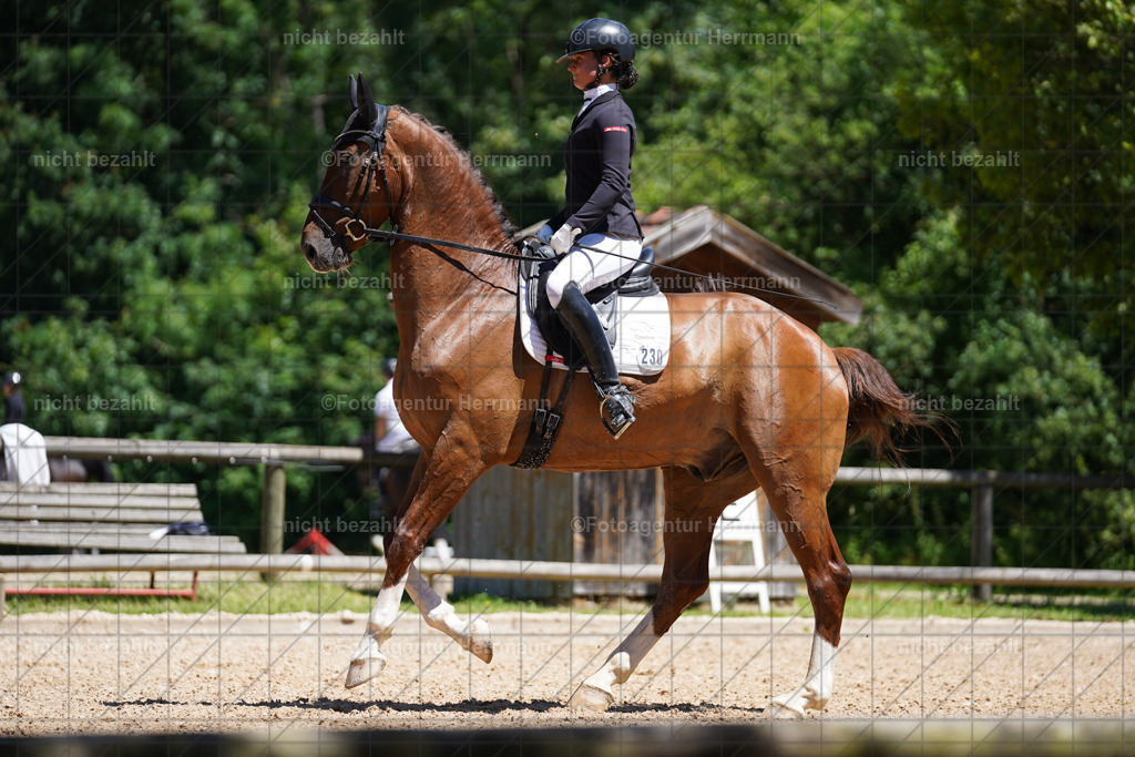 20240705-FAH03631 | Turnierbilder von Grafing, Reitsportbilder, Turnierfotos, Turnierfotografen Bayern, Pferdefotograf, Fotoagentur Herrmann