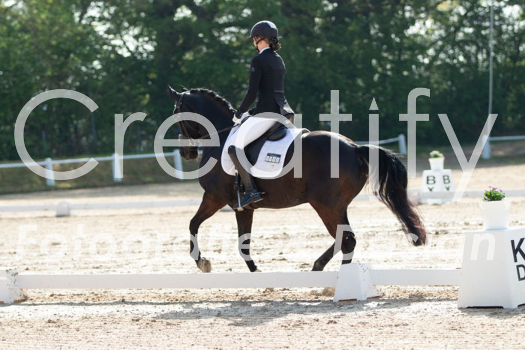 IMG_3168 | Creatify Fotografie