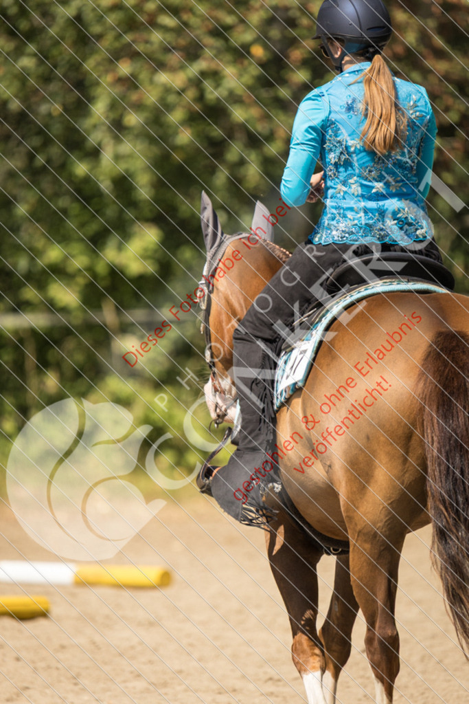IMG_7839 | Sport-, Event- und Tierfotos in Profiqualität. Einfach auswählen, bestellen und herunterladen. Dein Moment – perfekt festgehalten.