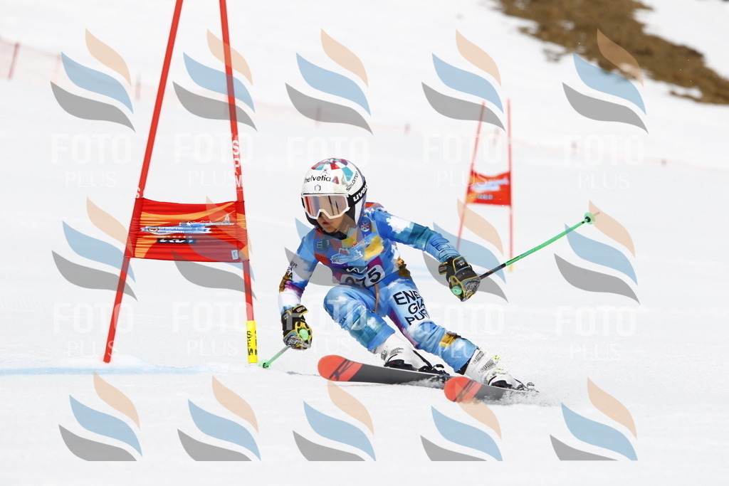 _U3G6899 | holidayphoto