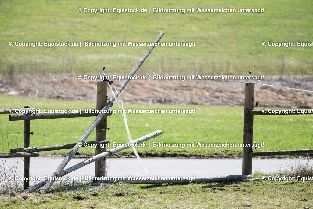 20170312_Koppelzaun_0005 | equistock