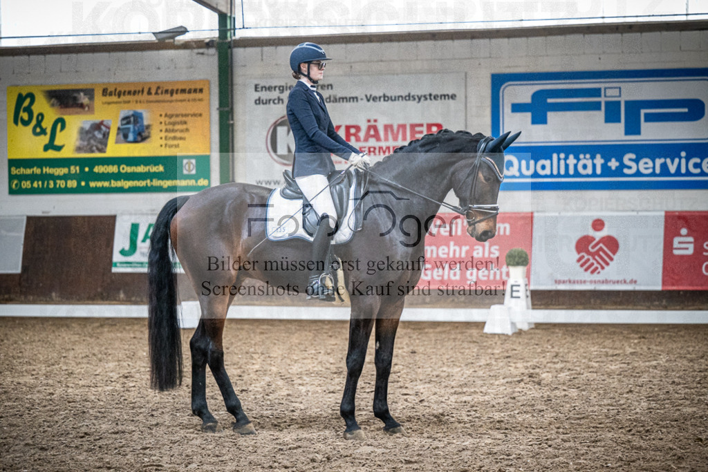 DOS_0785 | Entdecke hochwertige Reitturnierfotos von Foto Oger. Professionell, emotional und authentisch – jetzt Lieblingsmomente im Shop bestellen.Deutschlandweite Turnierfotografie. - Realisiert mit Pictrs.com