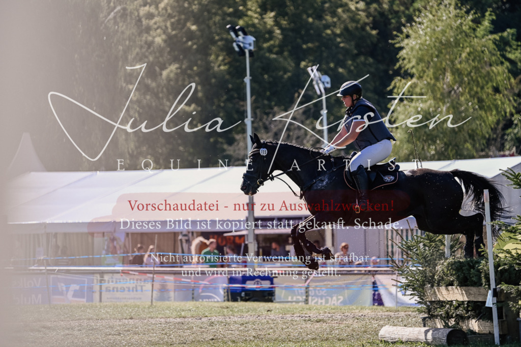 DSC_3349 | Pferde- und Turnierfotografie in Westsachsen. Pferdeportraits, Auftragszeichnungen und intuitive Kunst.