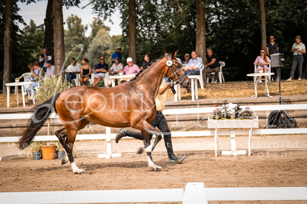 6.Fr00139 | Leoni Ertmer Photography - Realisiert mit Pictrs.com