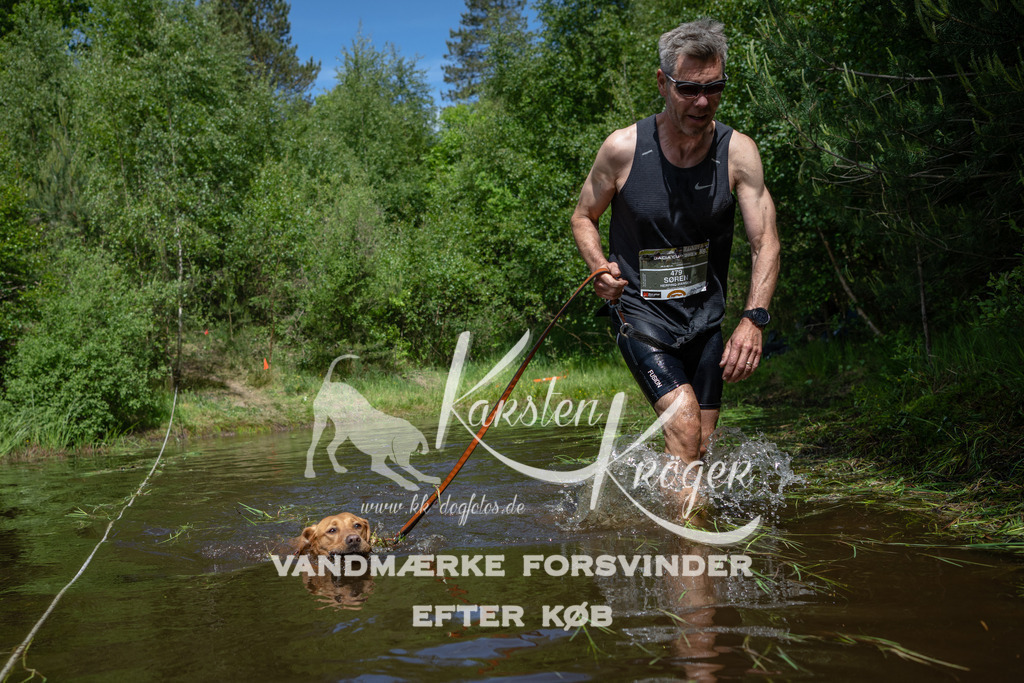 1201DKK991537 | kk-dogfotos