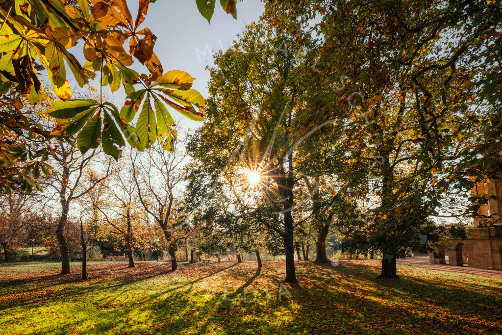 2024-10-29 Schloss Monrepos Herbst 016 | Schwotte Media - Realisiert mit Pictrs.com
