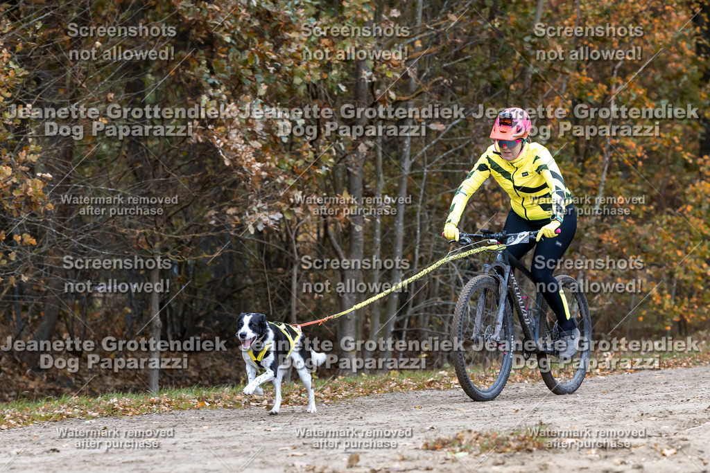 Dog Paparazzi - SD CaniX Championship 2025-584 | Dog Paparazzi Jeanette Grottendiek Fotografie & Videografie - Realisiert mit Pictrs.com