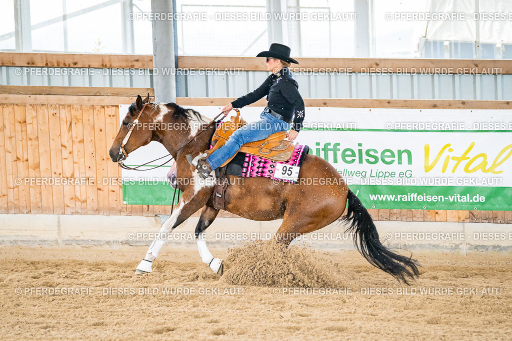 DSC04977 | Pferdegrafie