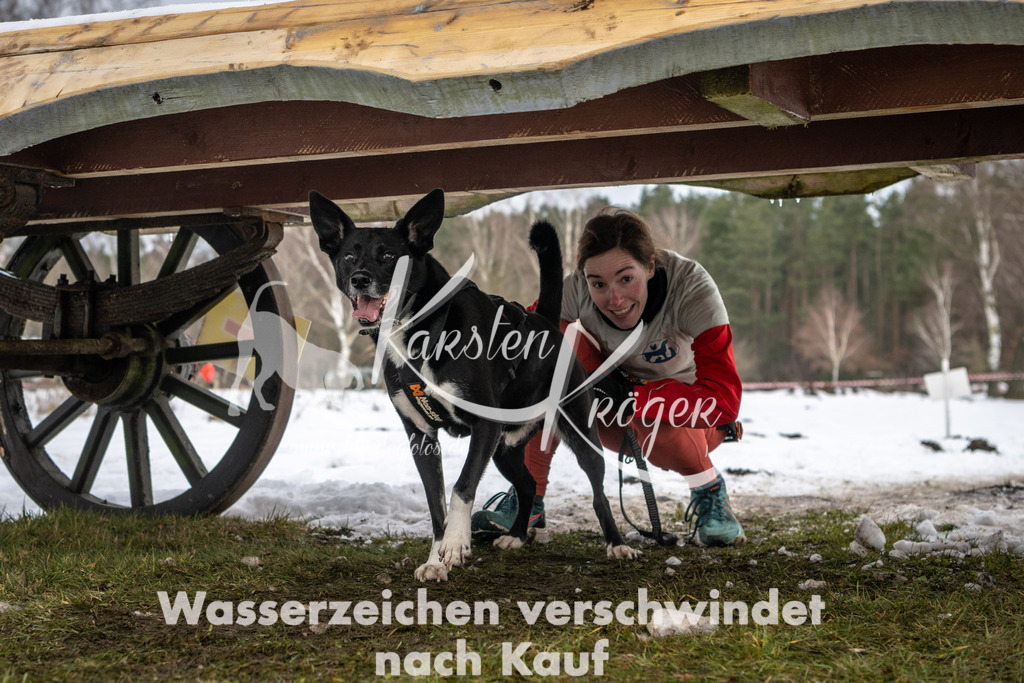 0939_ZZ91101 | kk-dogfotos