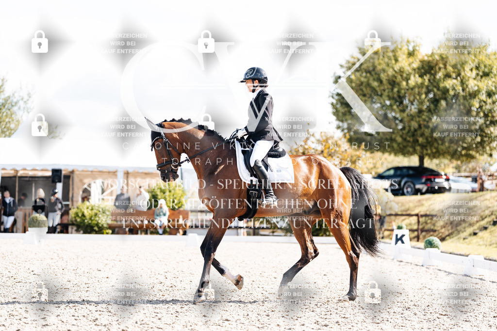 CK902304 | Turnierfotografie Pferdefotografie Trier Rheinland-Pfalz Pferdesport Reitsport Tierfotografie Sportfotografie Pferdevideo Pferdevideografie Equestrianvideography equestrianphotography  - Realisiert mit Pictrs.com