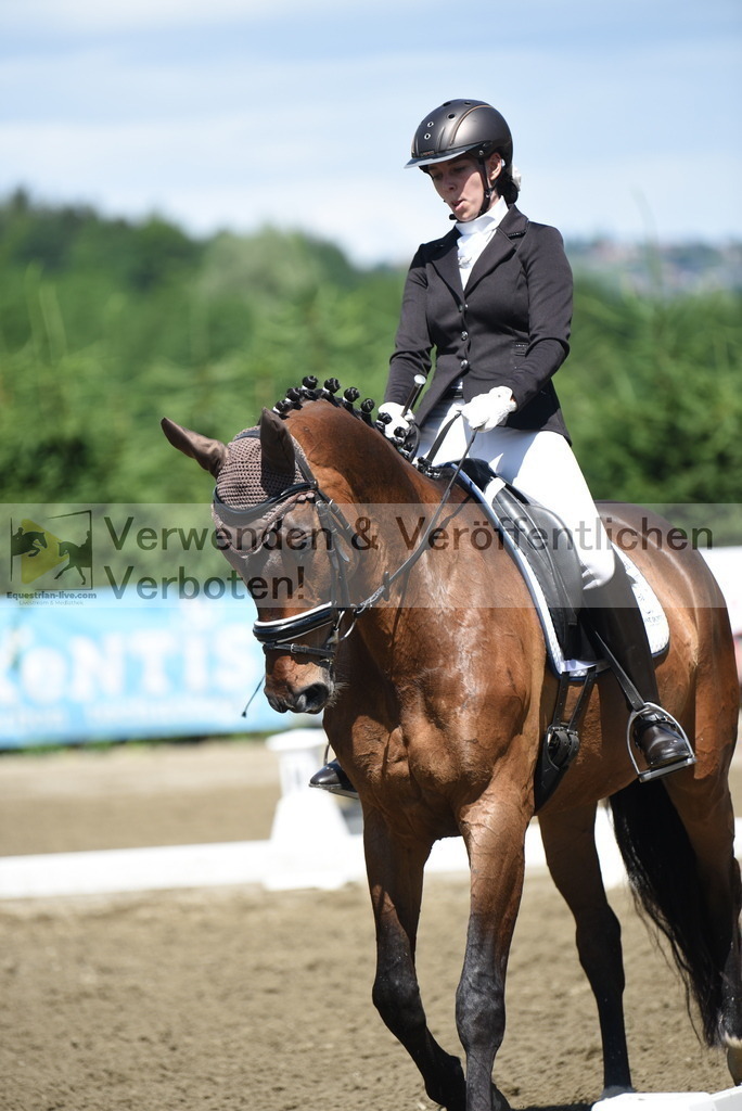 DSC_0315 | equestrian-live-com